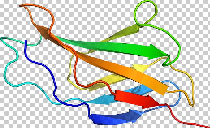 Line Organism PNG, Clipart, Area, Art, Artwork, D 2, Djs Free PNG Download