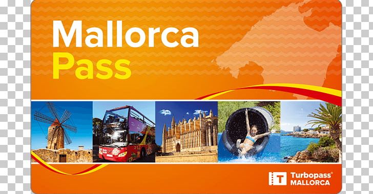 Marineland Mallorca Alcúdia Island Tourist Attraction S'illot PNG, Clipart,  Free PNG Download