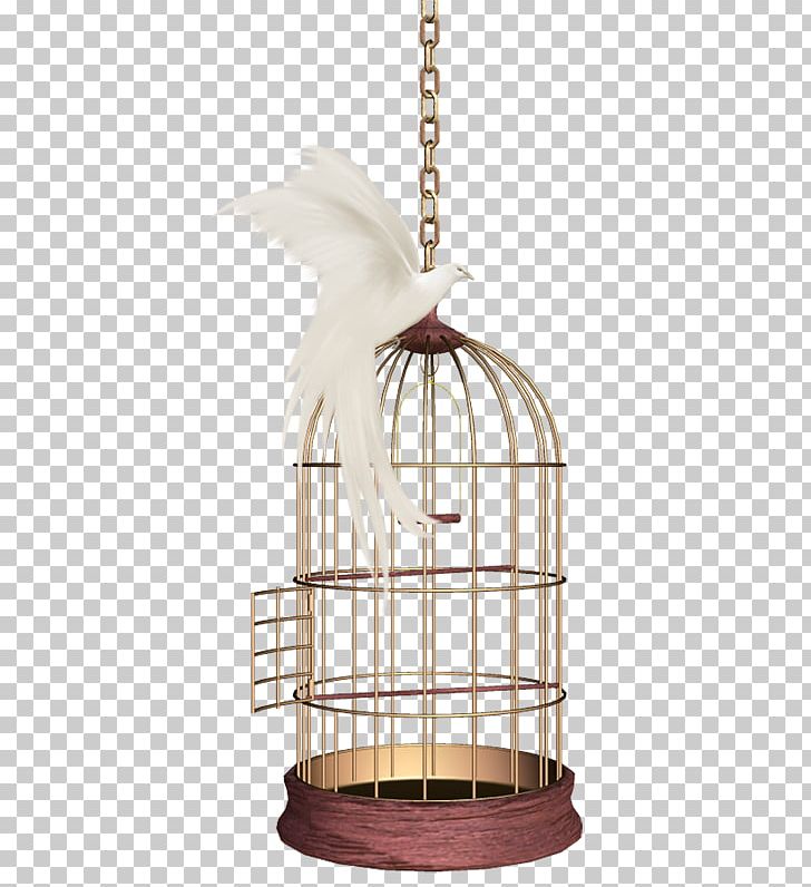 Birdcage Domestic Canary Parrot PNG, Clipart, Animals, Bird, Birdcage, Cage, Domestic Canary Free PNG Download