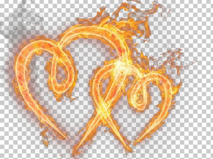 Flame Fire PNG, Clipart, Adobe Fireworks, Combustion, Download, Fire, Flame Free PNG Download