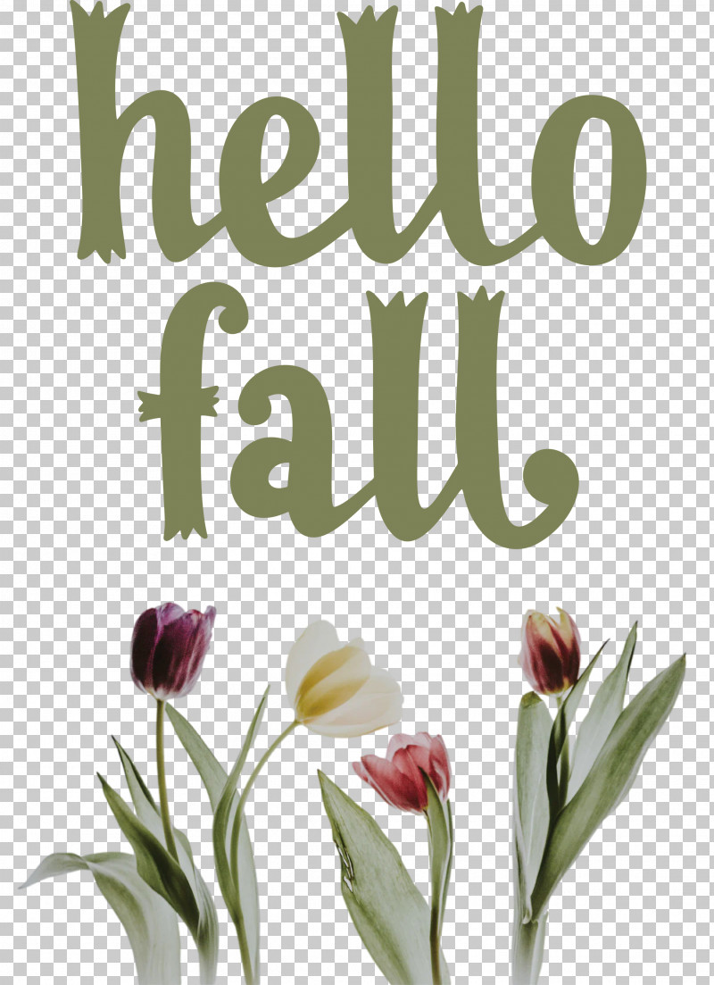 Hello Fall Fall Autumn PNG, Clipart, Autumn, Cut Flowers, Fall, Floral Design, Flower Free PNG Download