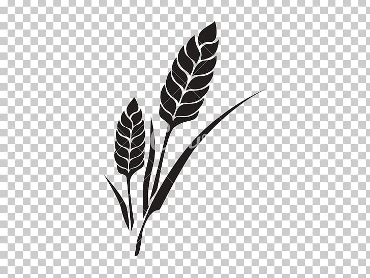Bakery Rice Computer Icons Wheat PNG, Clipart, Bakery, Black And White, Black Rice, Branch, Bread Free PNG Download