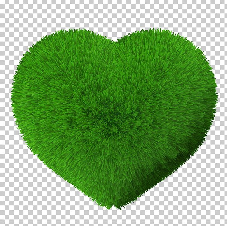 Lawn Grass Green Vegetation PNG, Clipart, Creative, Creative Green Grass, Designer, Download, Grass Free PNG Download