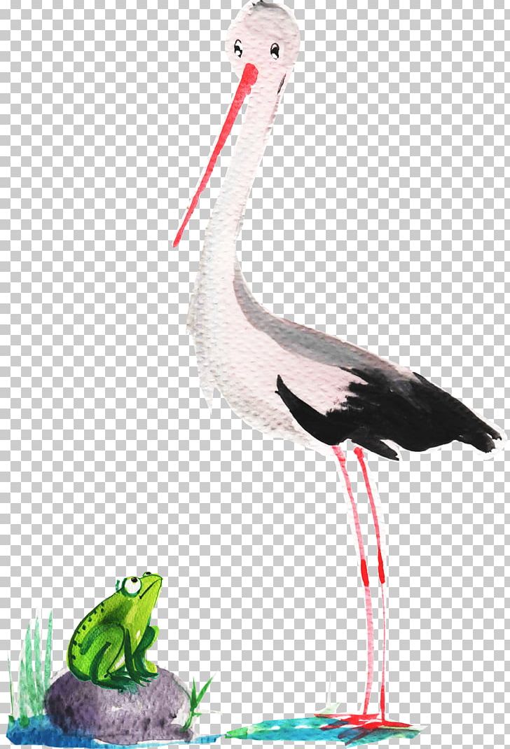White Stork Bird Crane Beak Neck PNG, Clipart, Animals, Beak, Bird, Ciconiiformes, Crane Free PNG Download