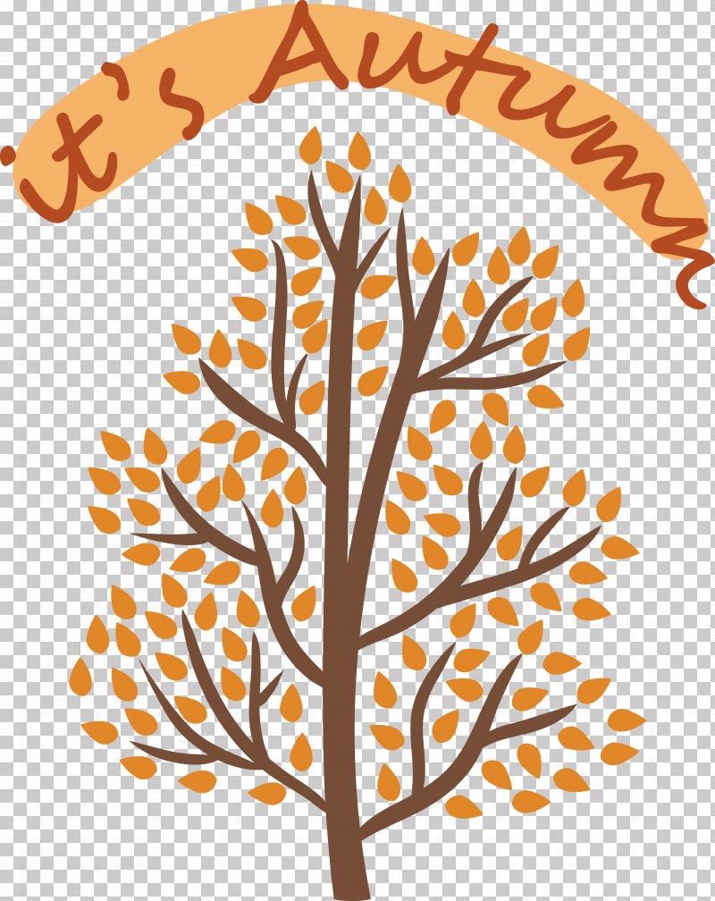 Leaf Tree Commodity Text Line PNG, Clipart, Branching, Commodity, Geometry, Leaf, Line Free PNG Download