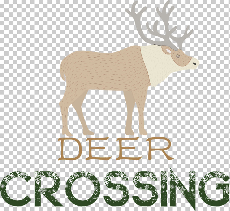 Reindeer PNG, Clipart, Antler, Cartoon, Deer, Deer Crossing, Elk Free PNG Download