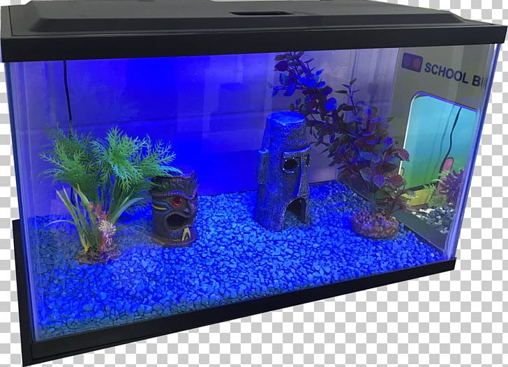 Aquarium Lighting Aquariums Gallon Electric Blue PNG, Clipart, Aquarium, Aquarium Decor, Aquarium Lighting, Aquariums, Blue Free PNG Download