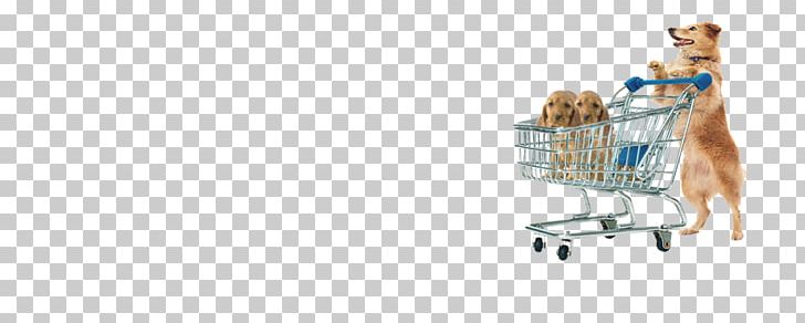 Shopping Cart Shoe PNG, Clipart, Cart, Northern Inuit Dog, Shoe, Shopping, Shopping Cart Free PNG Download