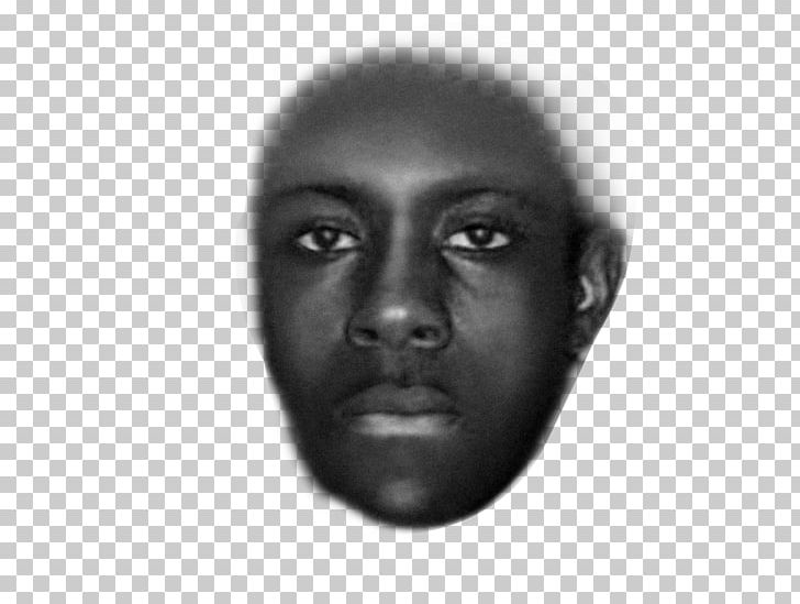Usher Nose Homo Sapiens Racism Forehead PNG, Clipart, Black And White, Chin, Closeup, Eyebrow, Face Free PNG Download