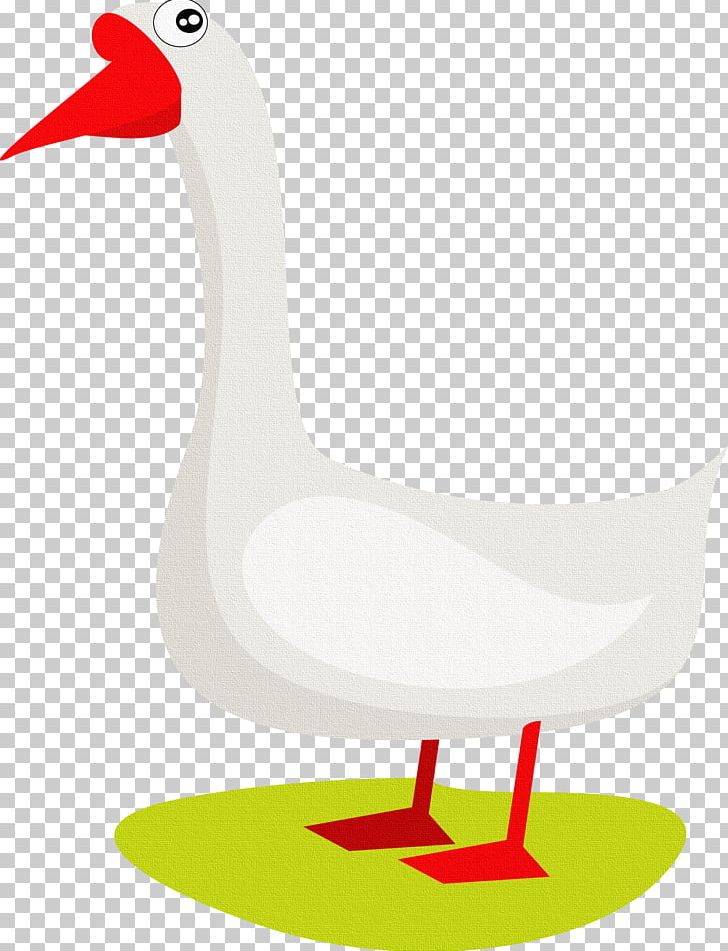 Domestic Goose Duck PNG, Clipart, Animal, Animals, Beak, Bird, Canadian Goose Free PNG Download