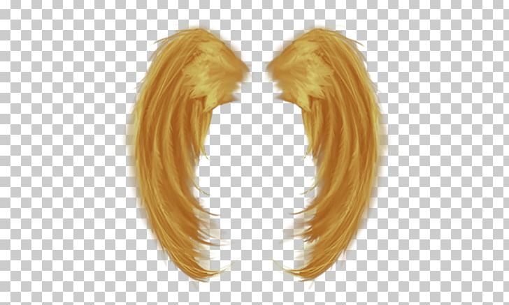 Feather PNG, Clipart, Aile, Animals, Brown Hair, Download, Ear Free PNG Download