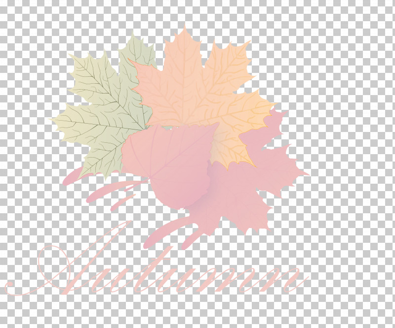 Hello Autumn Welcome Autumn Hello Fall PNG, Clipart, Cartoon, Hello Autumn, Hello Fall, Leaf, Lens Flare Free PNG Download