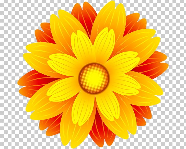 Flower Orange Blossom Png Clipart Chrysanths Clip Art Color Cut Flowers Dahlia Free Png Download,Best Places To Travel In Usa