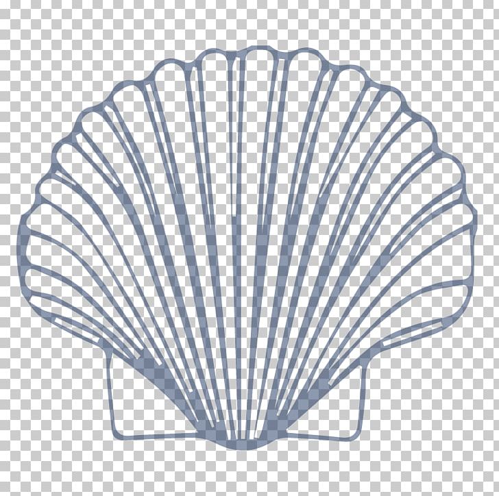 Seashell Mollusc Shell Drawing Pectinidae Nautilidae PNG, Clipart, Angle, Animal, Animals, Argonaut, Coloring Book Free PNG Download