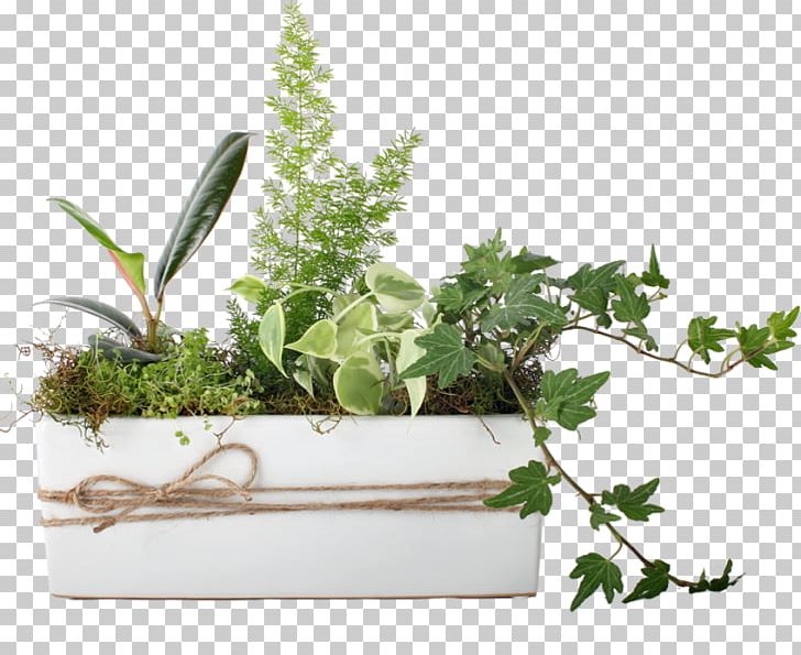 Herbalism Flowerpot Houseplant Fines Herbes PNG, Clipart, Fines Herbes, Flowerpot, Food Drinks, Herb, Herbaceous Plant Free PNG Download