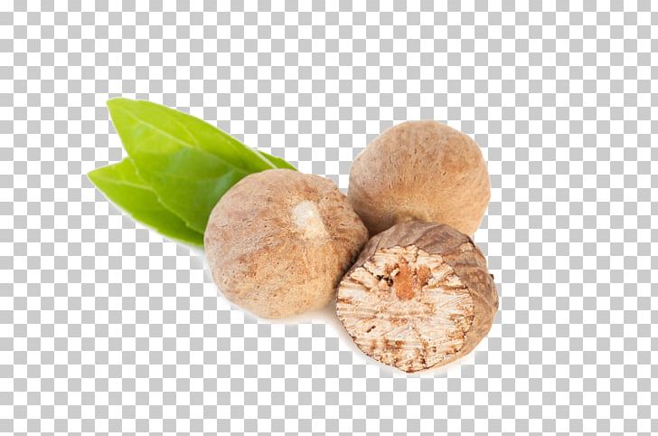 Nutmeg Oil Clove Spice Ingredient PNG, Clipart, Areca Nut, Cinnamon, Clove, Essential Oil, Garlic Free PNG Download