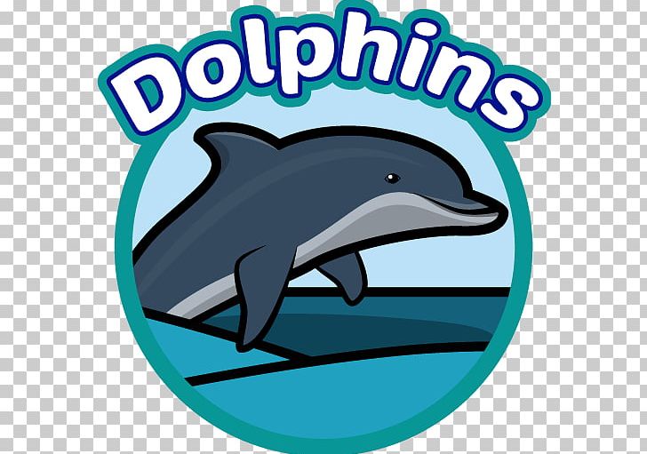 Common Bottlenose Dolphin Short-beaked Common Dolphin Tucuxi Wholphin PNG, Clipart,  Free PNG Download