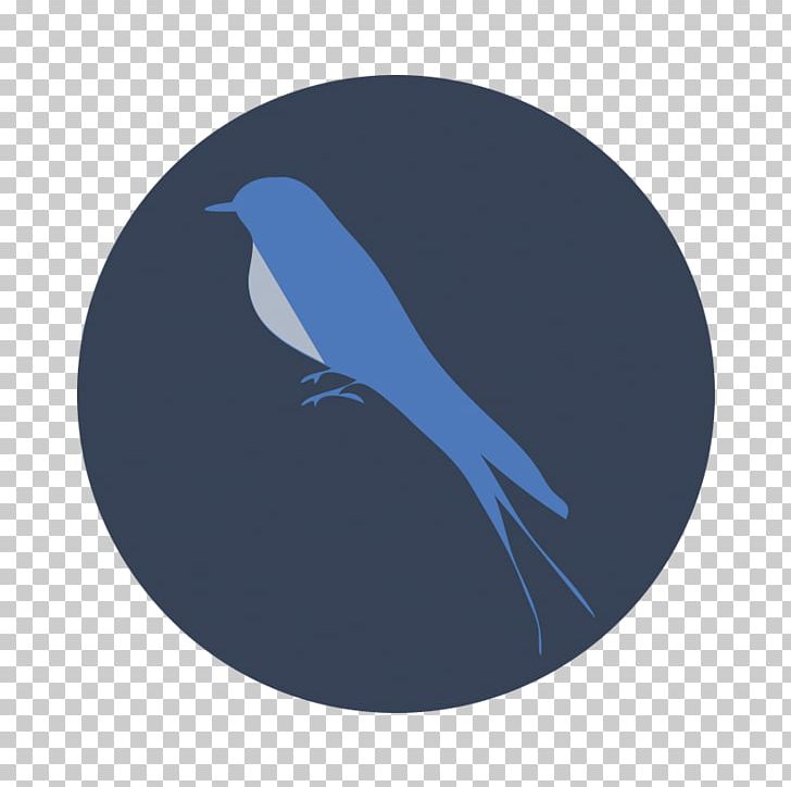 Cobalt Blue Beak PNG, Clipart, Beak, Bird, Bird Icon, Blue, Cobalt Free PNG Download