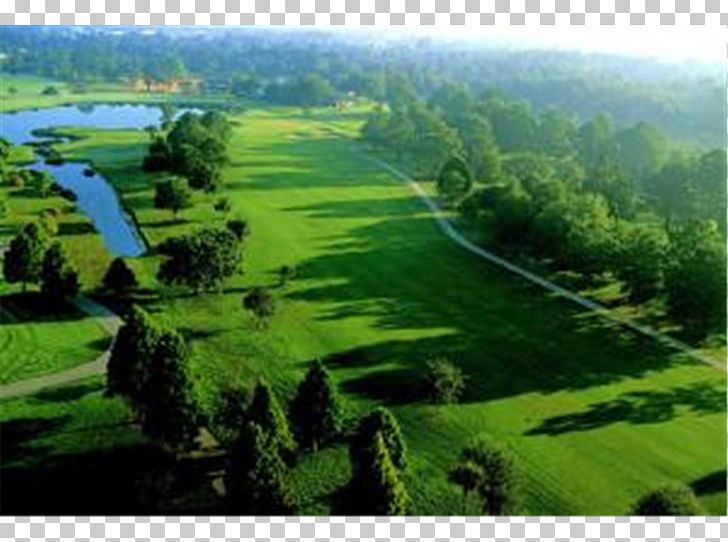 Crystal River St. Augustine Key West Miami Beach Wekiva River PNG, Clipart, Biome, Crystal River, Golf, Golf Club, Golf Course Free PNG Download