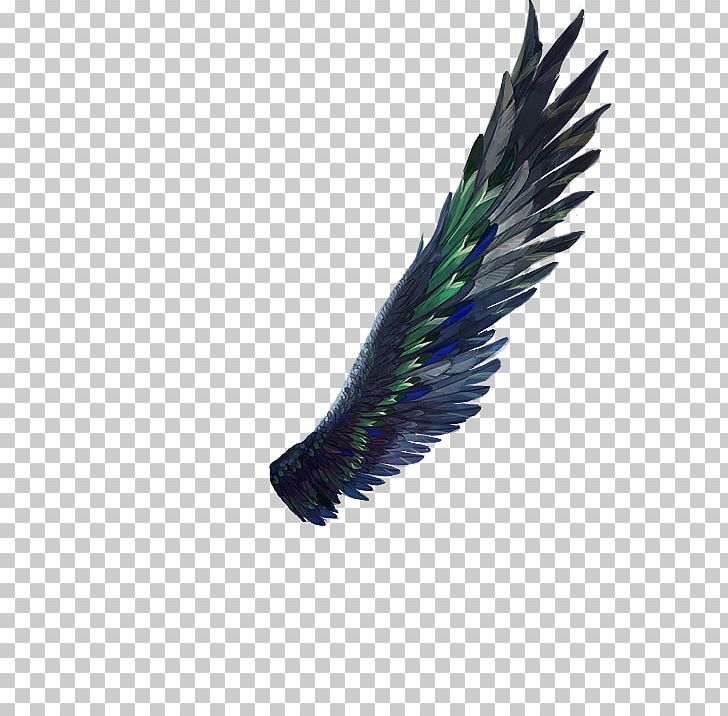 Dragon Rider: The Griffin's Feather The Thief Lord PNG, Clipart,  Free PNG Download