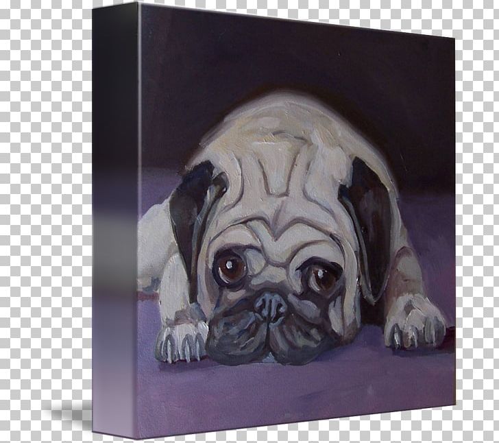 Pug Puppy Dog Breed Toy Dog Gallery Wrap PNG, Clipart, Animals, Art, Breed, Canvas, Carnivoran Free PNG Download