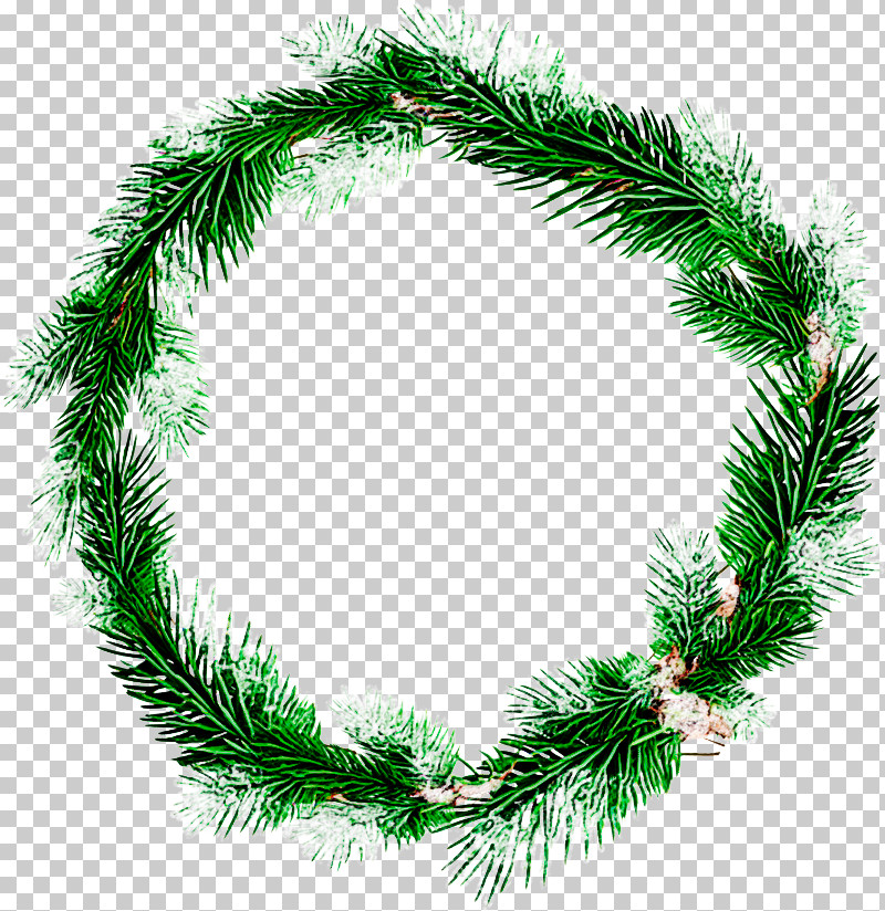Christmas Decoration PNG, Clipart, American Larch, Branch, Christmas Decoration, Colorado Spruce, Conifer Free PNG Download