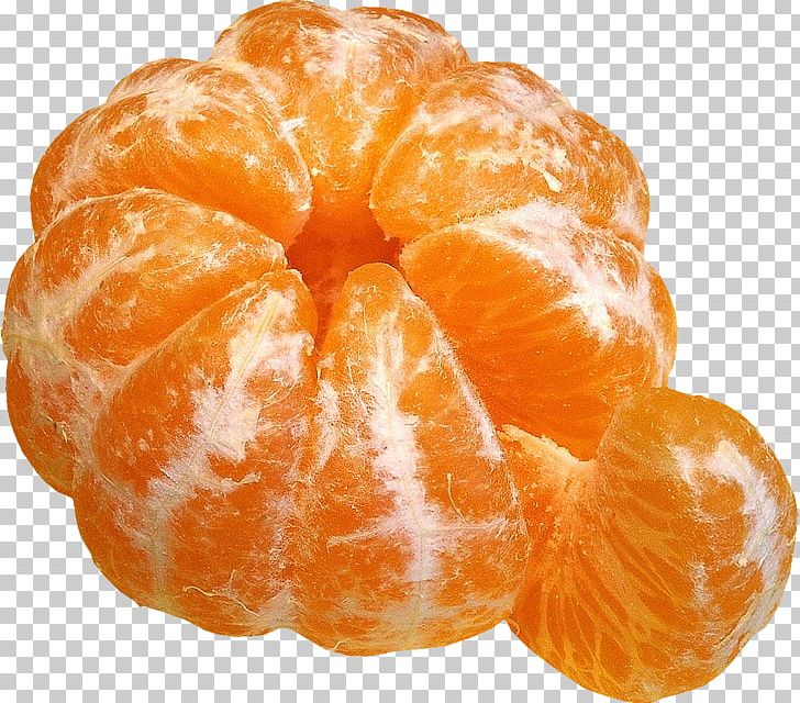 Orange Juice Mandarin Orange Tangerine Satsuma Mandarin Fruit Salad PNG, Clipart, Baked Goods, Citrus, Clementine, Danish Pastry, Dried Fruit Free PNG Download