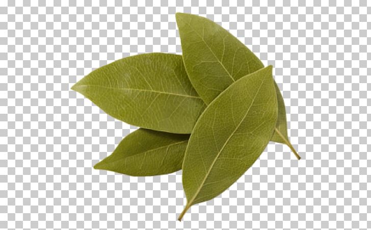 Bay Leaf Indian Cuisine Spice Hungarian Cuisine Herb PNG, Clipart, Abu Nashar Abdul Qahar, Bay Leaf, Black Pepper, Cemen, Cinnamomum Tamala Free PNG Download