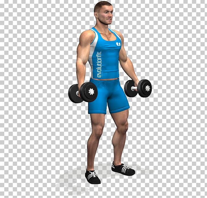 Biceps Curl Front Raise Dumbbell Fly Barbell PNG, Clipart, Abdomen, Arm, Bodybuilder, Boxing Glove, Exercise Free PNG Download