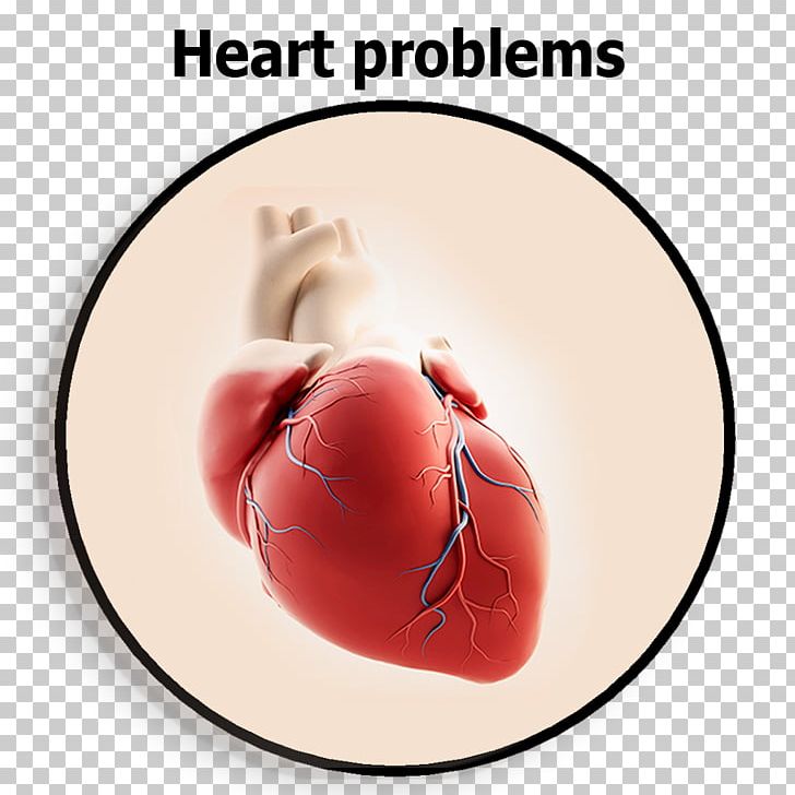Cardiology Cardiac Surgery Heart Cardiovascular Disease Health PNG, Clipart, Angiography, Cardiac Surgery, Cardiology, Cardiovascular Disease, Disease Free PNG Download