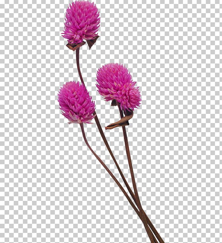 Flower Encapsulated PostScript PNG, Clipart, Button, Computer Icons, Cut Flowers, Data, Digital Image Free PNG Download