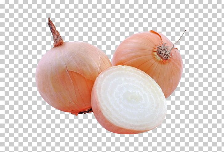 Yellow Onion Shallot Pierogi Stuffing Red Onion PNG, Clipart, Berry, Boiling, Buy, Food, Food Drinks Free PNG Download