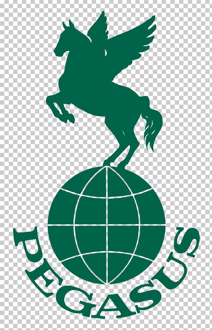 Horse Pegasus Reiterreisen Equitour AG Wadi Rum Equestrian PNG, Clipart, Aqaba, Area, Artwork, Ball, Black And White Free PNG Download