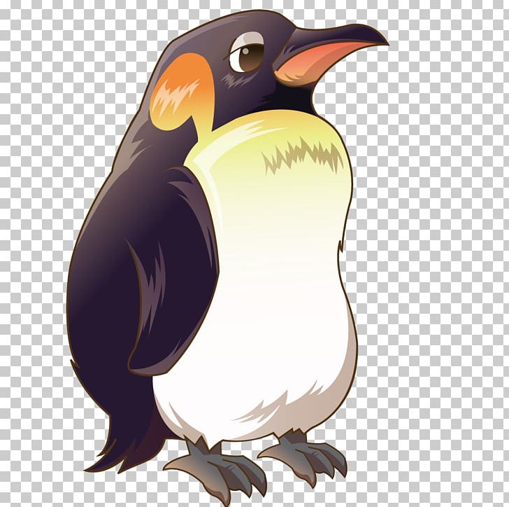Penguin Cartoon PNG, Clipart, Animal, Animation, Anime Character, Anime  Girl, Bird Free PNG Download
