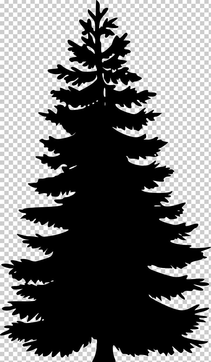 Pine Tree Fir Silhouette PNG, Clipart, Black And White, Branch, Christmas Decoration, Christmas Ornament, Christmas Tree Free PNG Download