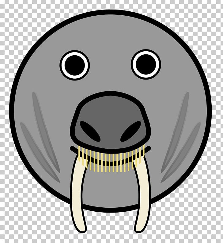 Pinniped Face Cartoon PNG, Clipart, Animals, Cartoon, Drawing, Elephant Seal, Face Free PNG Download