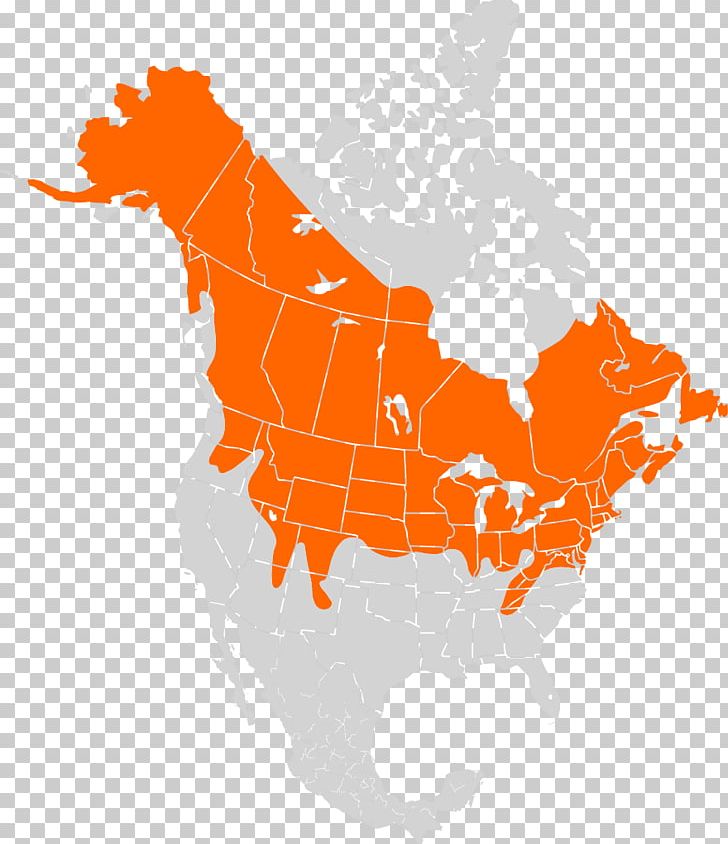 Canada United States Mexico City Map Caribbean PNG, Clipart, Americas, Area, Blank Map, Canada, Caribbean Free PNG Download