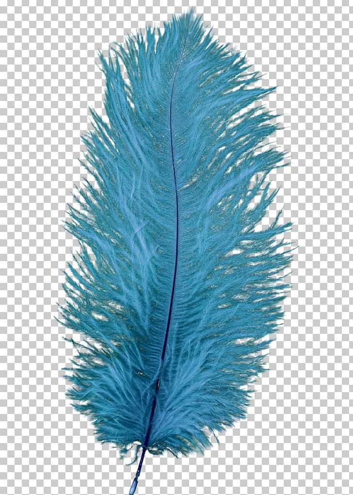 Feather Blue Bleu-violet PNG, Clipart, Animals, Bleuviolet, Blue, Color, Data Free PNG Download