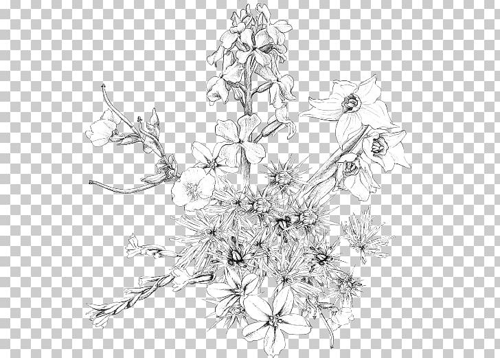 Floral Design Pine Sketch PNG, Clipart, Art, Artwork, Black And White, Branch, Drawing Free PNG Download