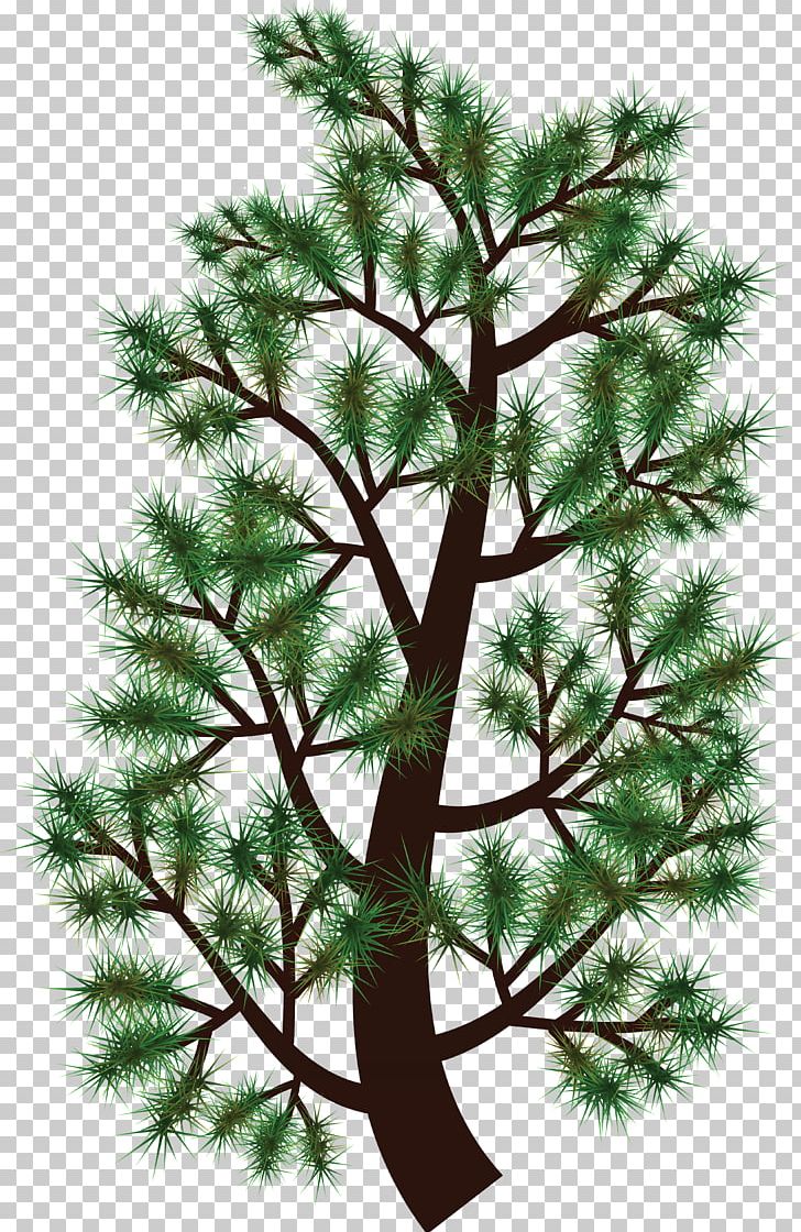 Pine Tree Branch Fir PNG, Clipart, Branch, Christmas Decoration, Christmas Ornament, Christmas Tree, Clip Art Free PNG Download