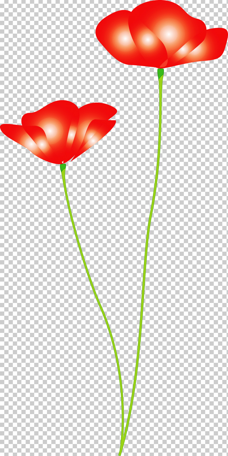 Poppy Flower PNG, Clipart, Anthurium, Coquelicot, Corn Poppy, Flower, Pedicel Free PNG Download