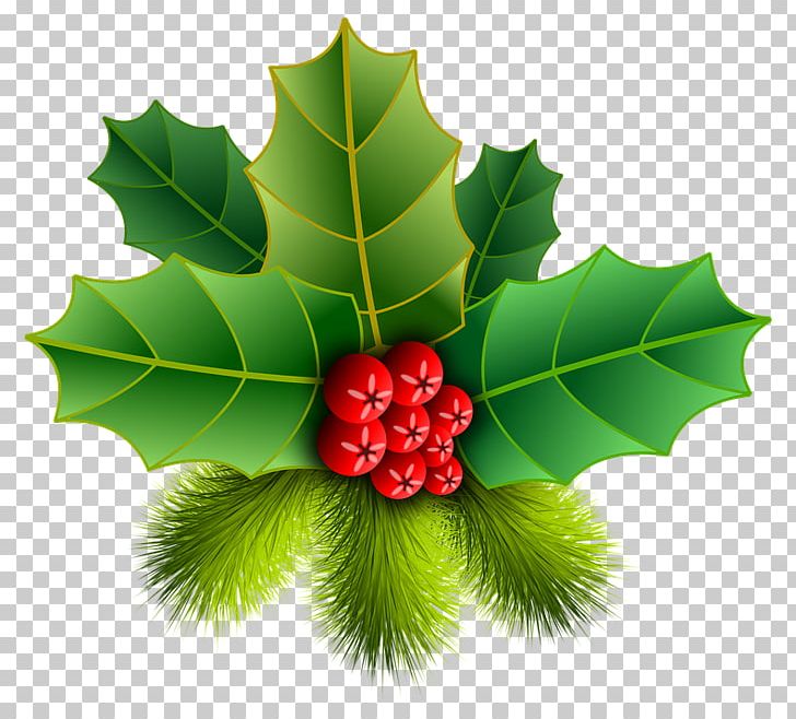 Christmas Ornament Common Holly PNG, Clipart, American Holly, Aquifoliaceae, Aquifoliales, Christmas, Christmas Decoration Free PNG Download