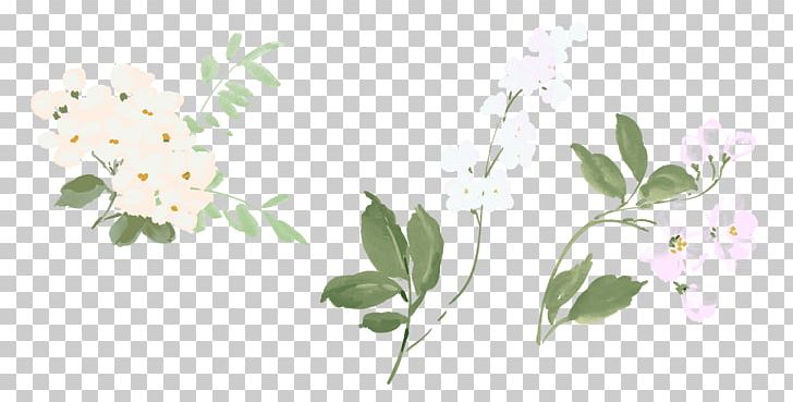Cut Flowers Illustration Plants PNG, Clipart, Blossom, Branch, Cut Flowers, Download, Flora Free PNG Download