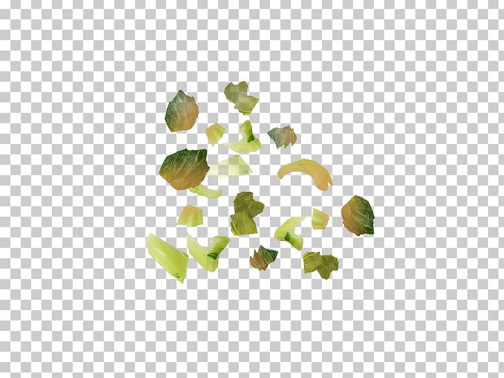 Leaf Petal Tree Organism PNG, Clipart, Bok Choy, Food Drinks, Grass, Leaf, Organism Free PNG Download