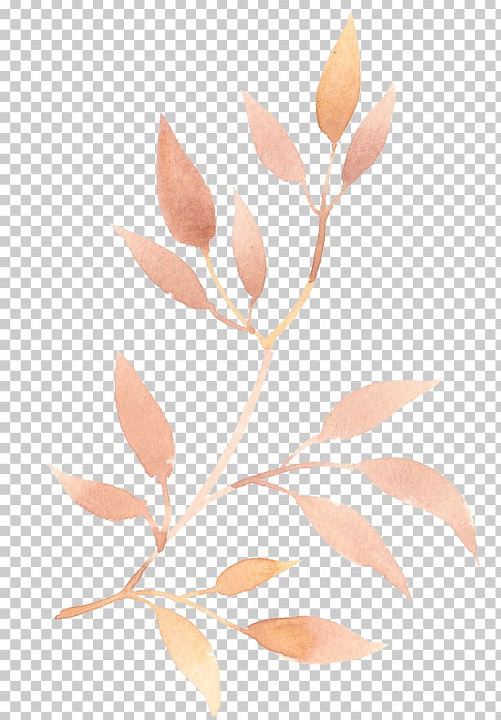 Portable Network Graphics Leaf Drawing Branch PNG, Clipart, Art, Branch, Drawing, Flower, Hand Free PNG Download