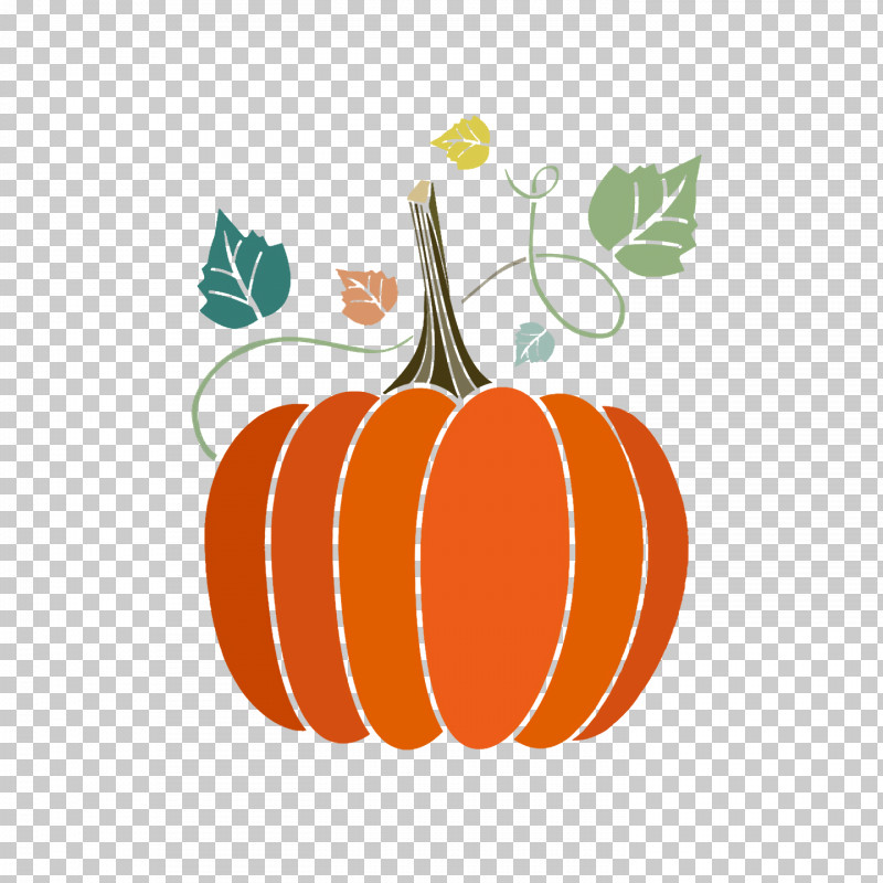 Halloween Decor PNG, Clipart, Butternut Squash, Crookneck Pumpkin, Cucurbita Maxima, Halloween Decor, Kabocha Free PNG Download