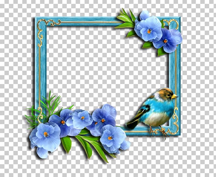 Frames Photography Floral Design PNG, Clipart, Bird, Blue, Branch, Cobalt Blue, Cut Flowers Free PNG Download