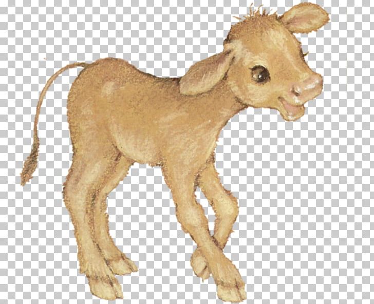 Goat Sheep Cattle Caprinae Animal PNG, Clipart, Animal, Animal Figure, Animals, Antelope, Caprinae Free PNG Download