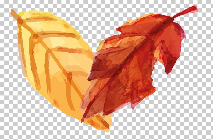 Hand-painted Leaves PNG, Clipart, Autumn, Autumn Leaves, Botany, Cartoon, Computer Icons Free PNG Download