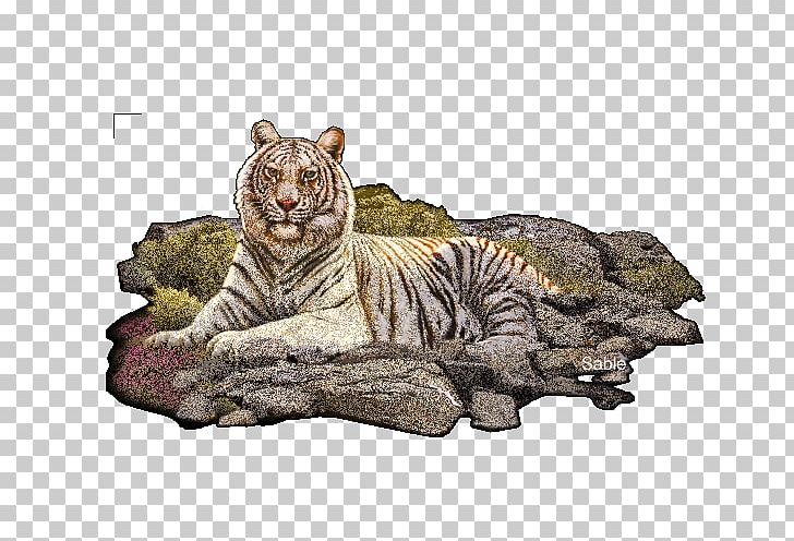 Tiger Animation Lion PNG, Clipart, Animals, Animation, Big Cat, Big Cats, Carnivoran Free PNG Download